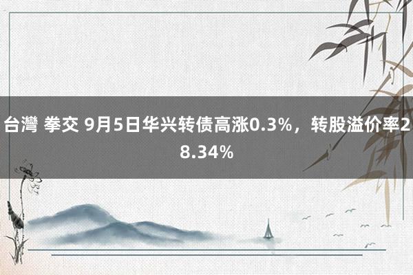 台灣 拳交 9月5日华兴转债高涨0.3%，转股溢价率28.34%