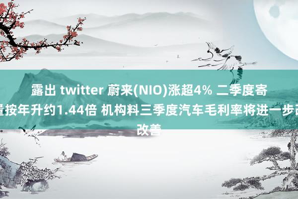 露出 twitter 蔚来(NIO)涨超4% 二季度寄托量按年升约1.44倍 机构料三季度汽车毛利率将进一步改善