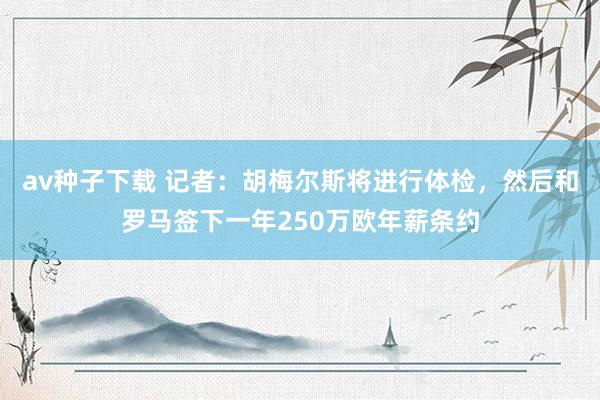 av种子下载 记者：胡梅尔斯将进行体检，然后和罗马签下一年250万欧年薪条约