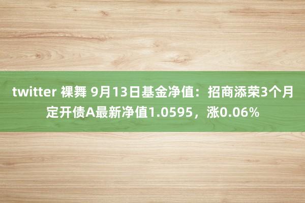 twitter 裸舞 9月13日基金净值：招商添荣3个月定开债A最新净值1.0595，涨0.06%