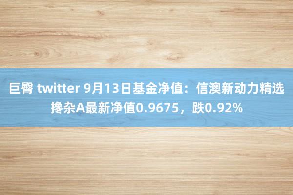 巨臀 twitter 9月13日基金净值：信澳新动力精选搀杂A最新净值0.9675，跌0.92%