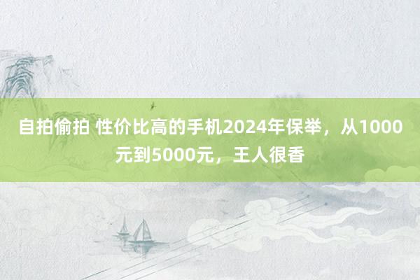 自拍偷拍 性价比高的手机2024年保举，从1000元到5000元，王人很香