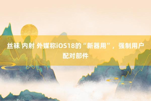 丝袜 内射 外媒称iOS18的“新器用”，强制用户配对部件