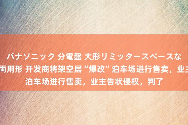 パナソニック 分電盤 大形リミッタースペースなし 露出・半埋込両用形 开发商将架空层“爆改”泊车场进行售卖，业主告状侵权，判了