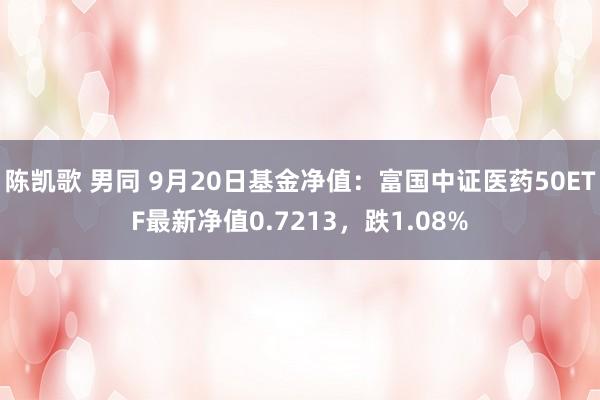 陈凯歌 男同 9月20日基金净值：富国中证医药50ETF最新净值0.7213，跌1.08%