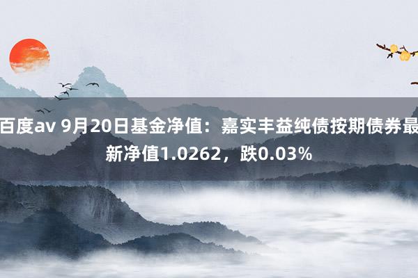 百度av 9月20日基金净值：嘉实丰益纯债按期债券最新净值1.0262，跌0.03%