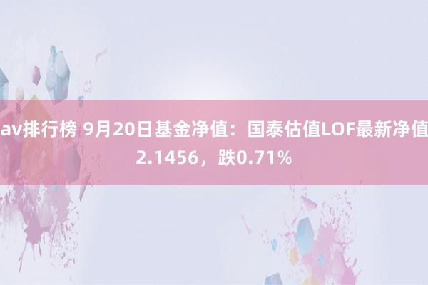 av排行榜 9月20日基金净值：国泰估值LOF最新净值2.1456，跌0.71%