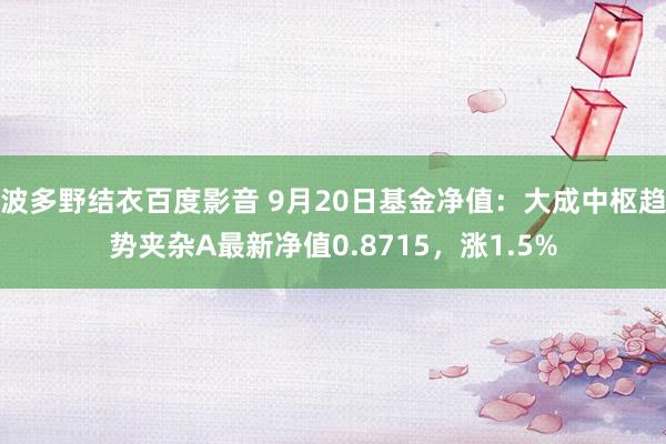 波多野结衣百度影音 9月20日基金净值：大成中枢趋势夹杂A最新净值0.8715，涨1.5%