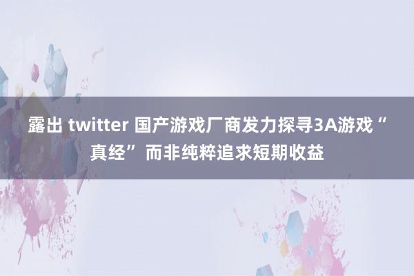 露出 twitter 国产游戏厂商发力探寻3A游戏“真经” 而非纯粹追求短期收益