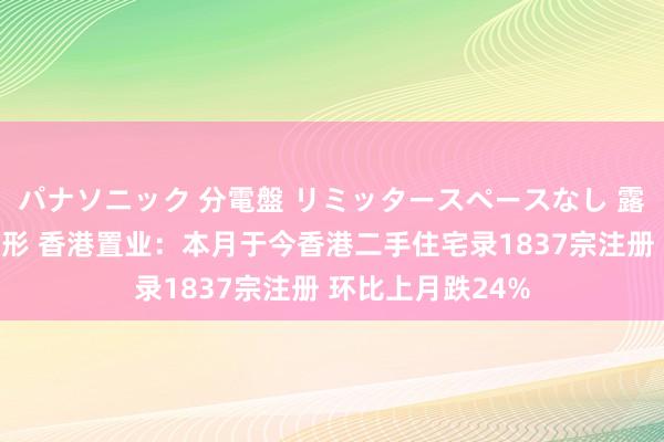 パナソニック 分電盤 リミッタースペースなし 露出・半埋込両用形 香港置业：本月于今香港二手住宅录1837宗注册 环比上月跌24%