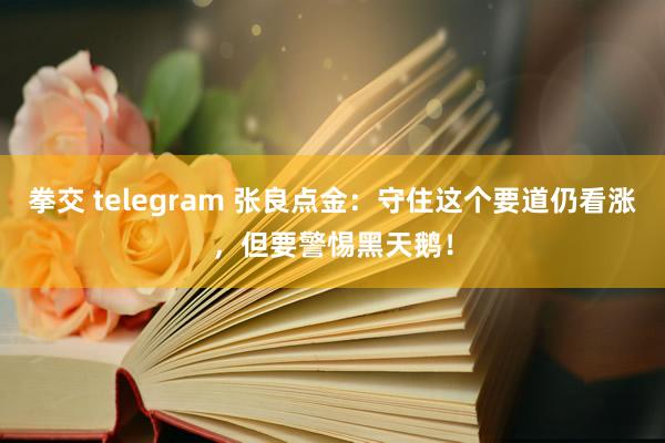 拳交 telegram 张良点金：守住这个要道仍看涨，但要警惕黑天鹅！