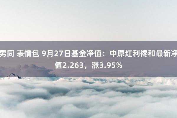 男同 表情包 9月27日基金净值：中原红利搀和最新净值2.263，涨3.95%