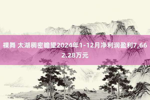 裸舞 太湖稠密瞻望2024年1-12月净利润盈利7，662.28万元