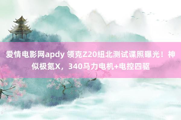 爱情电影网apdy 领克Z20纽北测试谍照曝光！神似极氪X，340马力电机+电控四驱