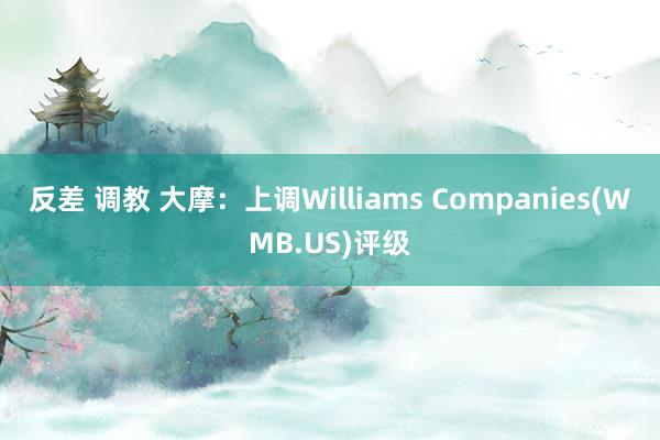 反差 调教 大摩：上调Williams Companies(WMB.US)评级