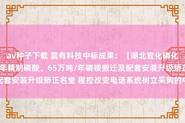 av种子下载 震有科技中标成果：【湖北宜化磷化工有限公司】20万吨/年精制磷酸、65万吨/年磷铵搬迁及配套安装升级矫正名堂 程控改变电话系统树立采购的中标成果公告