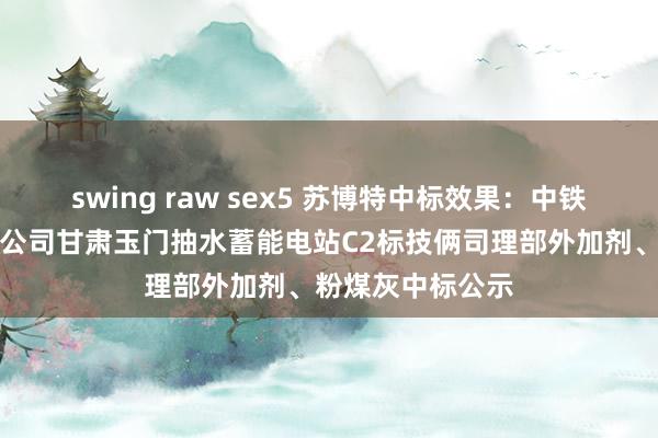 swing raw sex5 苏博特中标效果：中铁十四局集团有限公司甘肃玉门抽水蓄能电站C2标技俩司理部外加剂、粉煤灰中标公示