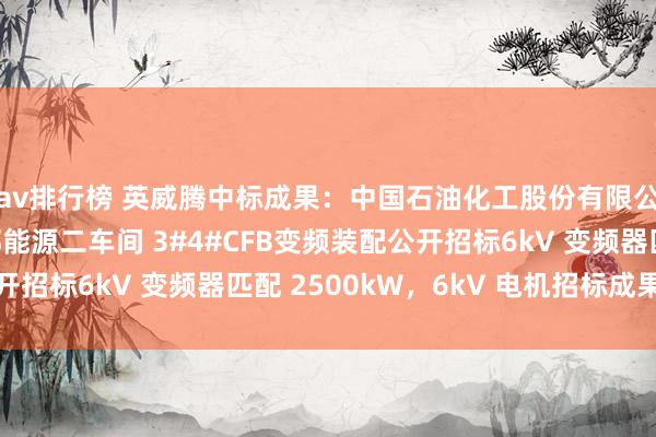 av排行榜 英威腾中标成果：中国石油化工股份有限公司茂名分公司能源部能源二车间 3#4#CFB变频装配公开招标6kV 变频器匹配 2500kW，6kV 电机招标成果公告