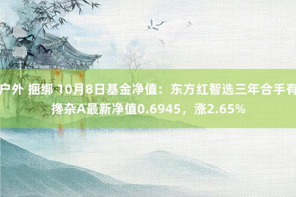 户外 捆绑 10月8日基金净值：东方红智选三年合手有搀杂A最新净值0.6945，涨2.65%