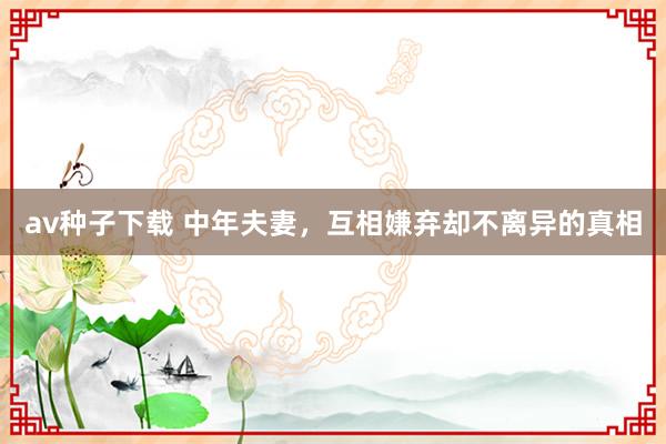 av种子下载 中年夫妻，互相嫌弃却不离异的真相