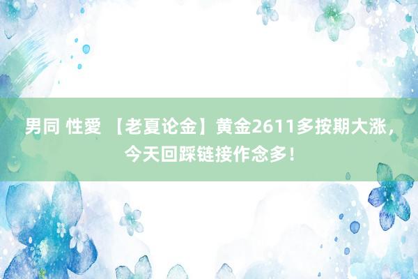 男同 性愛 【老夏论金】黄金2611多按期大涨，今天回踩链接作念多！