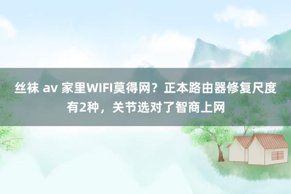 丝袜 av 家里WIFI莫得网？正本路由器修复尺度有2种，关节选对了智商上网