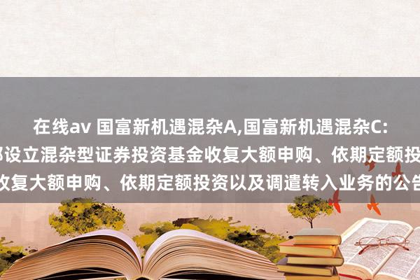 在线av 国富新机遇混杂A，国富新机遇混杂C: 富兰克林国海新机遇无邪设立混杂型证券投资基金收复大额申购、依期定额投资以及调遣转入业务的公告