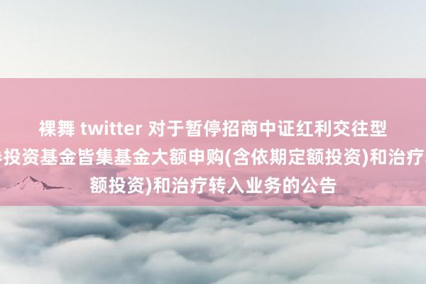 裸舞 twitter 对于暂停招商中证红利交往型盛开式指数证券投资基金皆集基金大额申购(含依期定额投资)和治疗转入业务的公告