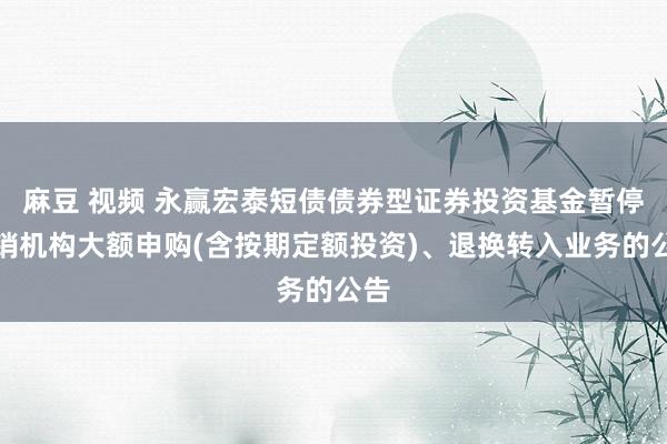 麻豆 视频 永赢宏泰短债债券型证券投资基金暂停代销机构大额申购(含按期定额投资)、退换转入业务的公告