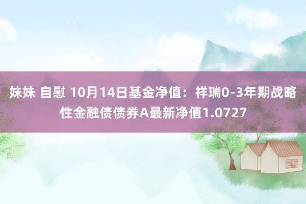 妹妹 自慰 10月14日基金净值：祥瑞0-3年期战略性金融债债券A最新净值1.0727