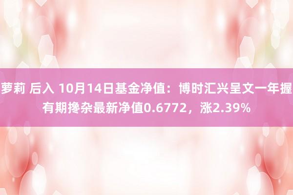 萝莉 后入 10月14日基金净值：博时汇兴呈文一年握有期搀杂最新净值0.6772，涨2.39%