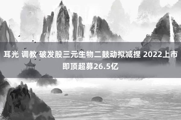 耳光 调教 破发股三元生物二鼓动拟减捏 2022上市即顶超募26.5亿