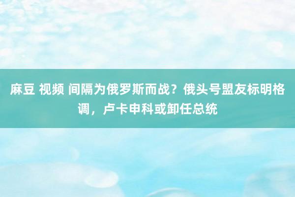 麻豆 视频 间隔为俄罗斯而战？俄头号盟友标明格调，卢卡申科或卸任总统