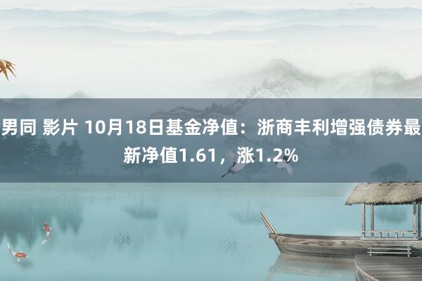 男同 影片 10月18日基金净值：浙商丰利增强债券最新净值1.61，涨1.2%