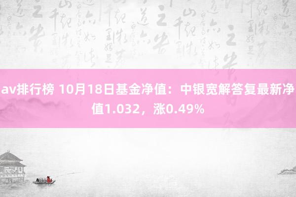 av排行榜 10月18日基金净值：中银宽解答复最新净值1.032，涨0.49%