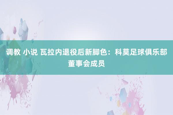 调教 小说 瓦拉内退役后新脚色：科莫足球俱乐部董事会成员