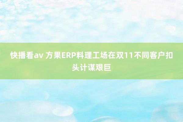 快播看av 方果ERP料理工场在双11不同客户扣头计谋艰巨