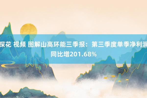 探花 视频 图解山高环能三季报：第三季度单季净利润同比增201.68%