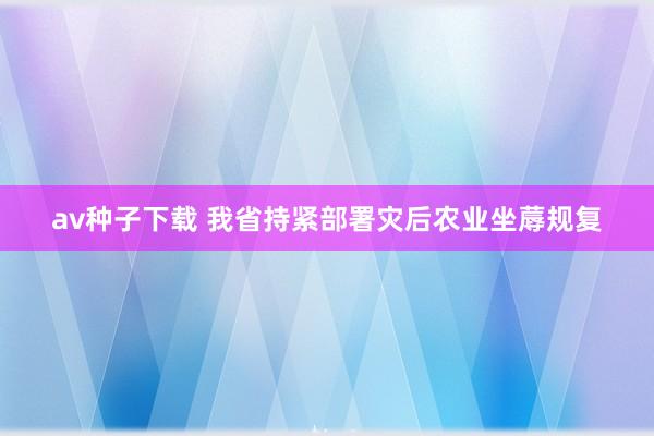 av种子下载 我省持紧部署灾后农业坐蓐规复