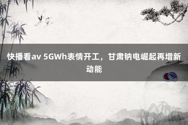 快播看av 5GWh表情开工，甘肃钠电崛起再增新动能