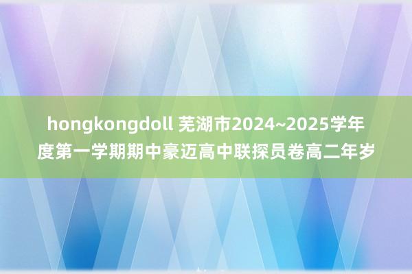 hongkongdoll 芜湖市2024~2025学年度第一学期期中豪迈高中联探员卷高二年岁