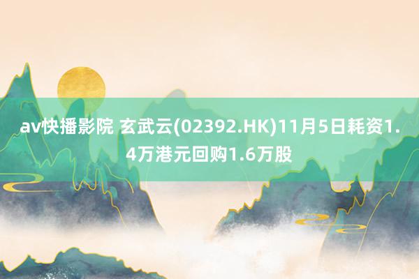 av快播影院 玄武云(02392.HK)11月5日耗资1.4万港元回购1.6万股