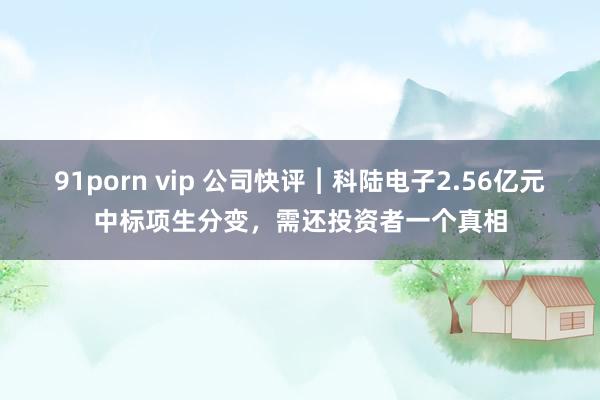 91porn vip 公司快评︱科陆电子2.56亿元中标项生分变，需还投资者一个真相