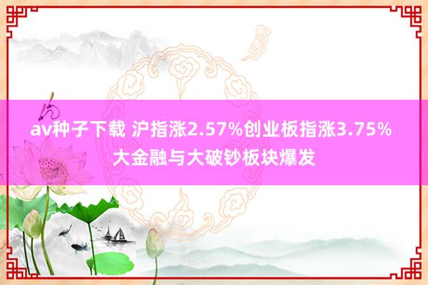 av种子下载 沪指涨2.57%创业板指涨3.75% 大金融与大破钞板块爆发