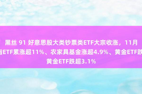 黑丝 91 好意思股大类钞票类ETF大宗收涨，11月小盘股指ETF累涨超11%、农家具基金涨超4.9%、黄金ETF跌超3.1%