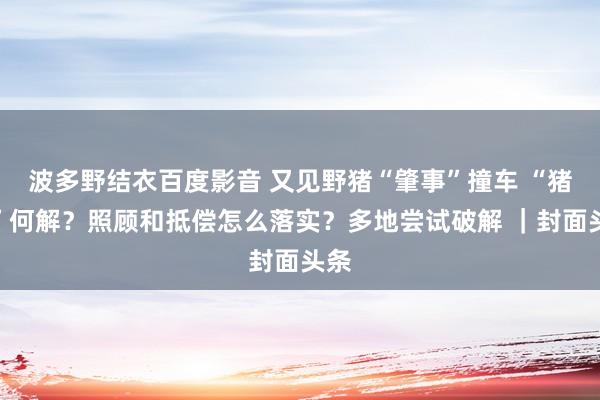 波多野结衣百度影音 又见野猪“肇事”撞车 “猪患”何解？照顾和抵偿怎么落实？多地尝试破解 ｜封面头条