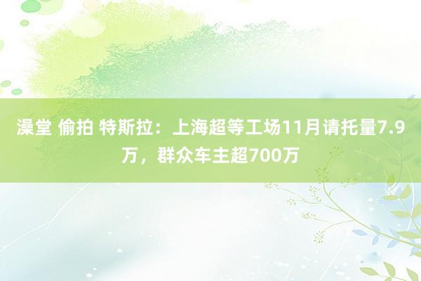 澡堂 偷拍 特斯拉：上海超等工场11月请托量7.9万，群众车主超700万