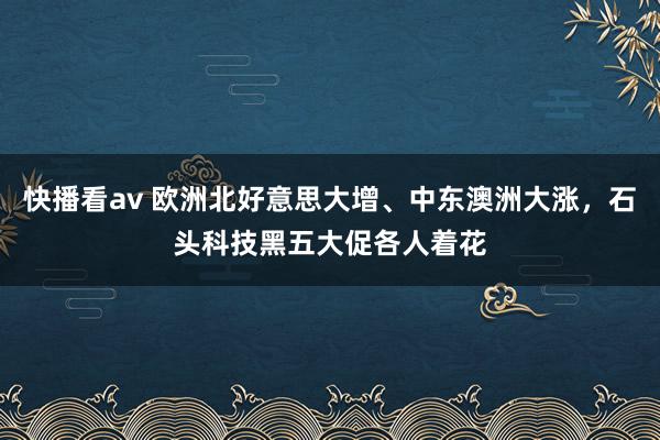 快播看av 欧洲北好意思大增、中东澳洲大涨，石头科技黑五大促各人着花