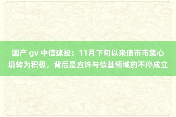 国产 gv 中信建投：11月下旬以来债市市集心境转为积极，背后是应许与债基领域的不停成立