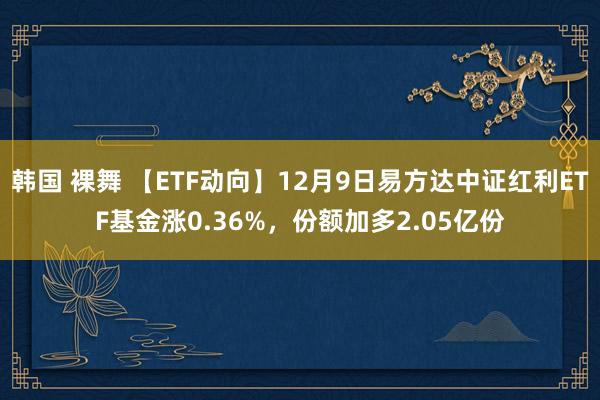 韩国 裸舞 【ETF动向】12月9日易方达中证红利ETF基金涨0.36%，份额加多2.05亿份